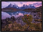 Chile, Patagonia, Park Narodowy Torres del Paine, Jezioro Pehoé, Góry Cordillera del Paine, Masyw Torres del Paine, Kamienie, Brzeg, Roślinność, Wschód słońca