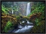 Wodospad, Rzeka, Omszone, Kamienie, Głazy, Skały, Las, Gifford Pinchot National Forest, Oregon, Stany Zjednoczone