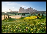 Płaskowyż Seiser Alm, Dolina Val Gardena, Góry Sassolungo, Włochy, Dolomity, Mgła, Domy, Łąka, Kwiaty, Drzewa
