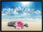 Chmury, Plaża, Kwiat