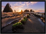 Plaża Shi Shi Beach, Hrabstwo Clallam, Park Narodowy Olympic, Stan Waszyngton, Stany Zjednoczone, Kamienie, Skały, Promienie słońca