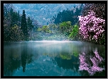 Korea Południowa, Wiosna, Jezioro, Poranek, Mgła, Drzewa
