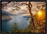 Promienie Słońca, Fiord, Norwegia, Drzewa