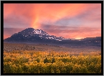 Przełęcz Conway Summit, Hrabstwo Mono, Stan Kalifornia, Stany Zjednoczone, Góry Sierra Nevada, Las, Drzewa, Jesień, Zachód słońca, Mgła