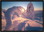Zima, Ośnieżone, Drzewa, Promienie słońca, Zatoka Kandałaksza, Półwysep Kolski, Rosja