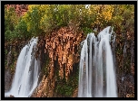Stany Zjednoczone, Arizona, Wodospad, Fifty Foot Falls, Roślinność