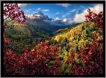 Góry, Jesień, Drzewa, Roślinność, Kolorowa, Drzewa