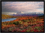 Alaska, Park Narodowy Denali, Stany Zjednoczone, Góry, Jezioro, Roślinność