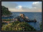 Włochy, Liguria, Wybrzeże, Rośliny, Morze, Poranek, Portovenere, Kościół, Chiesa di San Pietro, Skały