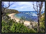Australia, Nowa Południowa Walia, Morze, Brzeg, Plaża, Drzewa, Rośliny