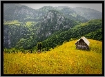 Rumunia, Góry, Lasy, Drewniana, Chatka
