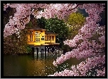 Dom, Rzeka, Las, Kwitnące, Gałązki, Wiosna, Japonia