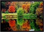 Rzeka, Las, Droga, Kolorowe, Drzewa, Jesień