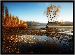 Rzeka, Jesień, Drzewa, Liście