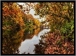 Rzeka, Mostek, Drzewa, Jesień