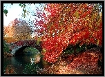 Rzeka, Most, Alejka, Liście, Jesień