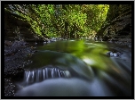 Rzeka, Skały, Miejscowość Waitomo Caves, Region Waikato, Wyspa Północna, Nowa Zelandia, Roślinność, Drzewa