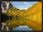 Jesień, Zalesione, Góry, Skały, Jezioro, Langbathseen, Austria