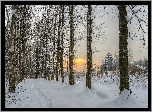 Zima, Śnieg, Drzewa, Brzozy, Droga, Cerkiew, Wschód słońca