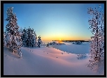 Śnieg, Zima, Wschód słońca, Drzewa