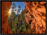 Skały, Sosny, Promienie słońca, Sedona, Arizona, Stany Zjednoczone
