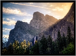 Stany Zjednoczone, Stan Kalifornia, Park Narodowy Yosemite, Góry, Wodospad Horsetail, Drzewa