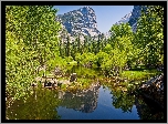Stany Zjednoczone, Stan Kalifornia, Park Narodowy Yosemite, Jezioro, Góry, Drzewa, Odbicie