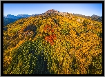 Stany Zjednoczone, Kolorado, Przełęcz, Kebler Pass, Góry, Las, Drzewa, Jesień