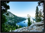 Stany Zjednoczone, Stan Kalifornia, Park stanowy Emerald Bay, Gry, Jezioro Tahoe, Las, Wyspa Fannette, wierki
