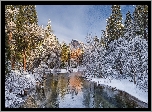 Stany Zjednoczone, Stan Kalifornia, Park Narodowy Yosemite, Zima, Rzeka Merced River, Gry, Las