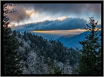 Stany Zjednoczone, Stan Karolina Północna, Park Narodowy Great Smoky Mountains, Góry, Chmury, Las