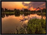 Stany Zjednoczone, Stan Missouri, Rezerwat James A. Reed Memorial Wildlife Area, Jezioro, Zachód słońca, Drzewa