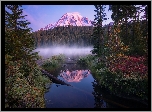 Stany Zjednoczone, Stan Waszyngton, Park Narodowy Mount Rainier, Jezioro Reflection Lakes, Szczyt Mount Rainier, Góra, Las, Drzewa, Mgła