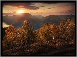 Szwajcaria, Kanton Ticino, Góry Alpy, Jezioro Maggiore, Drzewa, Jesień, Zachód słońca
