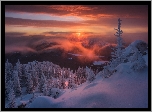 Rosja, Góry Ural, Park Narodowy Taganaj, Zima, Wschód słońca, Ośnieżone, Drzewa