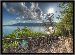 Jezioro, Varese, Lombardia, Włochy, Słońce, Balustrada, Drzewa