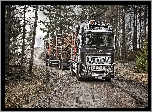 Ciężarówka, Volvo FH 16 250, Droga, Las