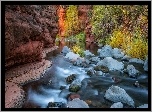 Stany Zjednoczone, Arizona, Sedona, Wąwóz Oak Creek Canyon, Rzeka Oak Creek, Skały, Kamienie, Drzewa