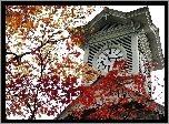 wieża zegarowa, Sapporo, Japonia, liście, jesień
