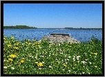 Wiosna, Jezioro, Pomost, Kwiaty