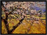 Wiosna, Kwitnące, Drzewo, Reprodukcja, Obrazów