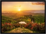 Włochy, Toskania, Baccoleno, Wzgórza, Droga, Aleja, Cyprysy, Słońce, Jezioro, Kwiaty