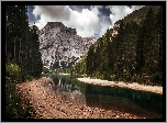 Włochy, Płudniowy Tyrol, Góry Dolomity, Dolina Val Pusteria, Dolina Val di Braies, Jezioro Pragser Wildsee, Las, Drzewa