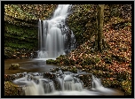 Anglia, Park Narodowy Yorkshire Dales, Wodospad Scaleber Force, Rzeka, Skały, Drzewo, Liście