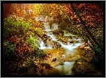 Wodospad, Kaskadowy, Kamienie, Las, Drzewa, Jesień