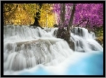 Wodospad, Las, Kolorowe, Drzewa, Jesień