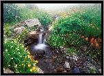 Wodospad, Strumyk, Kamienia, Kwiaty