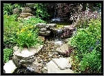 Wodospad, Kwiaty, Krzewy, Kamienie