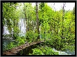 Wodospad, Las, Pomost, Plitvice, Chorwacja