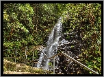 Wodospad Sylvia Falls, Park Narodowy Blue Mountains, Stan Nowa Południowa Walia, Australia, Skały, Las, Drzewa, Paprocie, Ogrodzenie